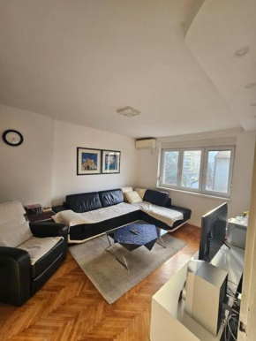 Cozy flat near the city center